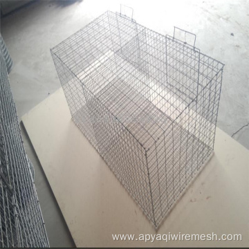 Galvanized Steel Welded Wire Mesh for Chicken Cages